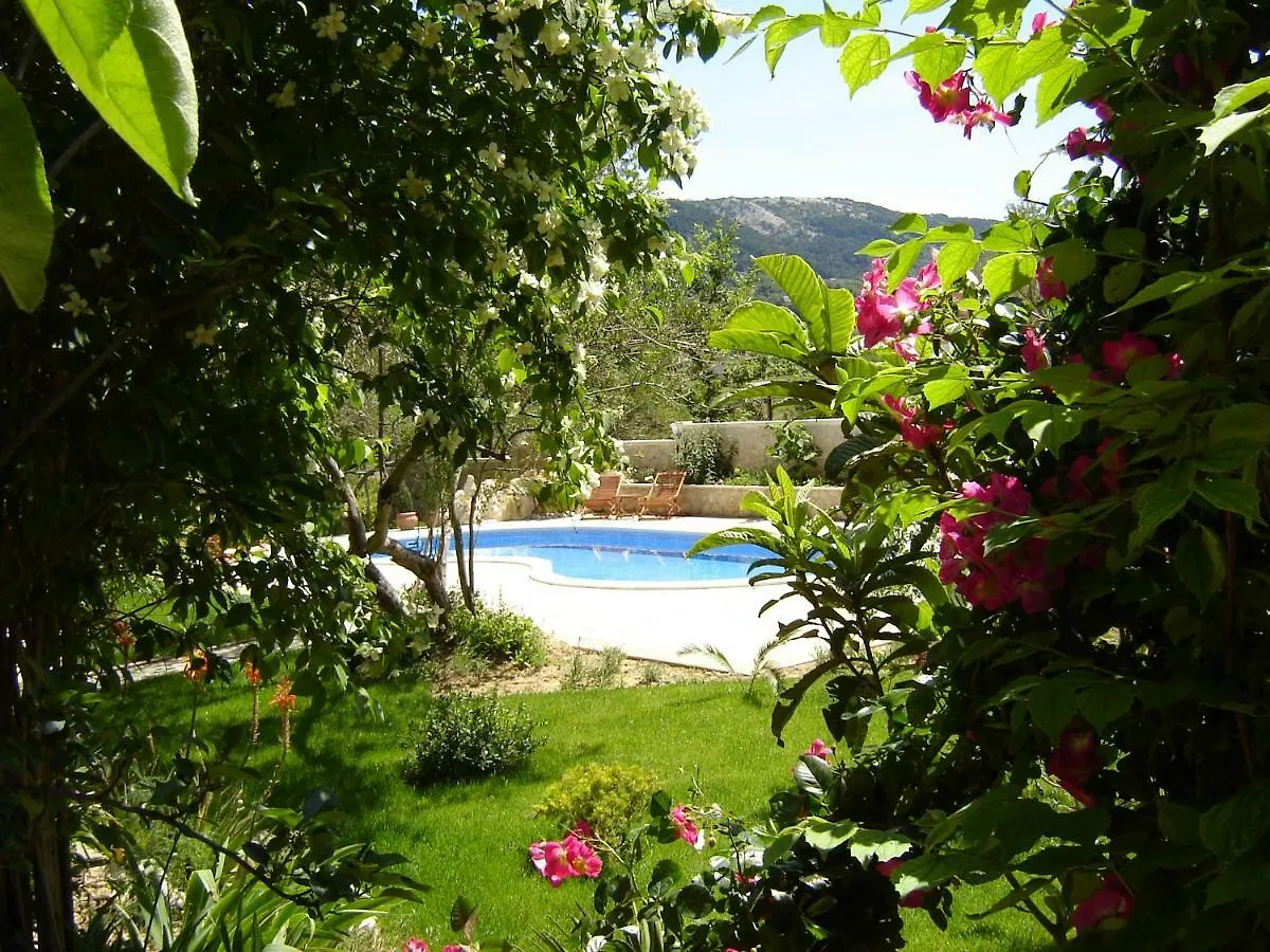 Apartments Mirjana Rab Town